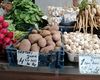 În România, numărul cultivatorilor de usturoi înscrişi în programul guvernamental dedicat este la jumătate faţă de ultimii doi ani
