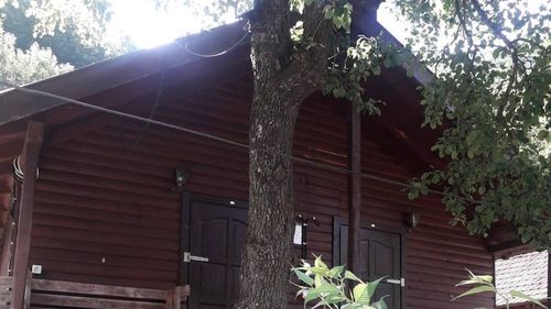 Căsuțele turistice ale Ocolului Silvic, la mare căutare în Băile Herculane / Se pot închiria la un tarif de 150 de lei per noapte / ”Sunt în imediata apropiere a cădițelor cu apă termală”