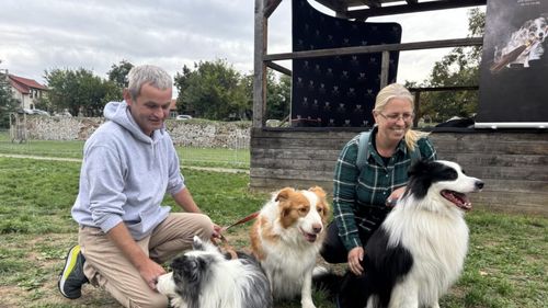 Spectacol canin la Oradea: Rase spectaculoase pe scena festivalului, cu un exemplar rar de Border Collie (VIDEO)