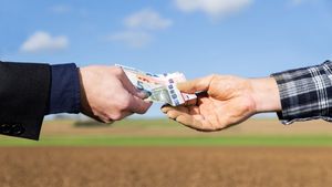 Agricultură pe datorie: Unii fermieri au împrumutat bani în contul subvențiilor agricole europene / Creșterea avansului de la 50% la 70% decisă de Comisia Europeană „nu este de mare ajutor” – Răzvan Avram, fermier, Vrancea
