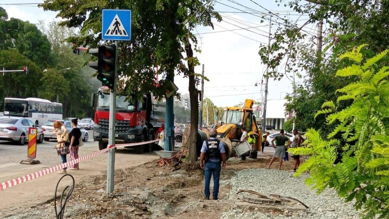 Două firme de construcţii care fac lucrări pentru Primăria Constanţa au fost amendate de Garda de Mediu cu 40.000 de lei/ Spaţiile de lucru nu erau umezite şi măturate, iar arborii erau afectaţi de lucrări