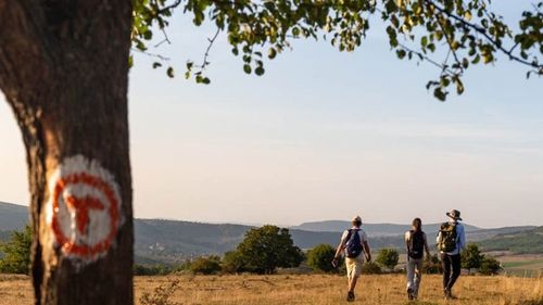 VIDEO Ghidul Drumețului pe Via Transilvanica este complet. Traseul a fost documentat integral, pe întreaga distanță de 1.400 de km