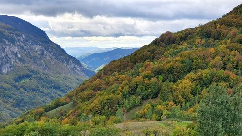 Experţii estonieni susţin că pădurile negestionate emit, astăzi, mai mult CO2 decât absorb / ”Pădurile tinere şi de vârstă mijlocie, în medie, captează mai mult carbon din atmosferă decât pădurile bătrâne”