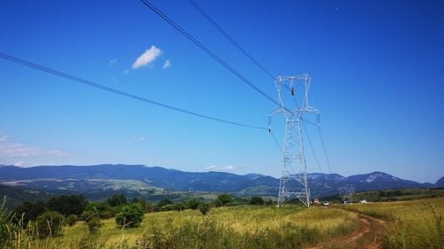 Transelectrica i-a prelungit cu 4 luni mandatul directorului interimar Ștefăniţă Munteanu, un consilier județean PSD din Buzău, cu zero expertiză la vârf în energie