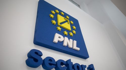PNL Sector 1 face public raportul Curţii de Conturi: Aproape 50 milioane lei, atât ne costă încălcarea legii de către Clotilde Armand/ Organizaţia va solicita un audit extern extins şi sesizarea organelor de anchetă penală