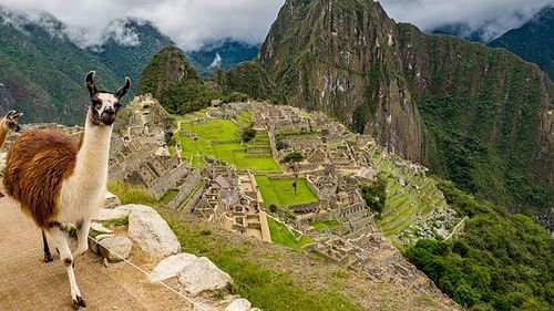 Corupția bagă Peru în criză: Parlamentul a ales al treilea președinte al țării, într-o săptămână