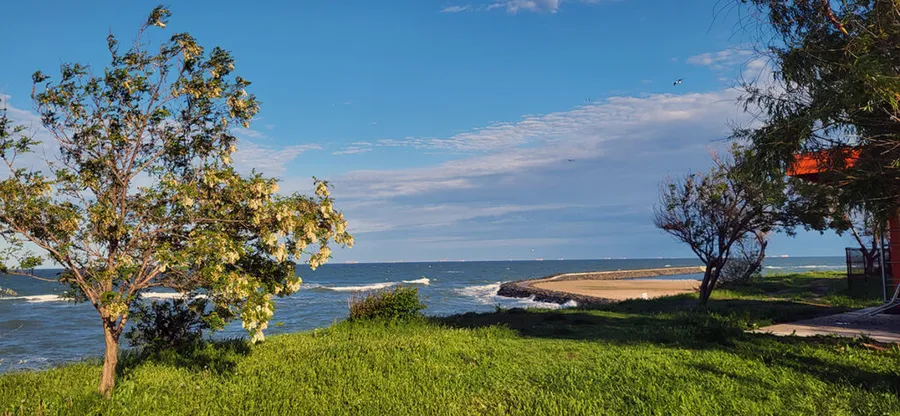 constanta mare parc tineri