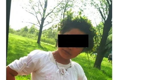 SURSE: Olandezul suspectat de uciderea fetei de 11 ani din Dâmbovița s-a sinucis. El s-a aruncat în fața unui camion