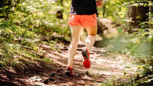 Maratonul Apuseni 2023, în acest weekend, în zona stațiunii Muntele Băișorii