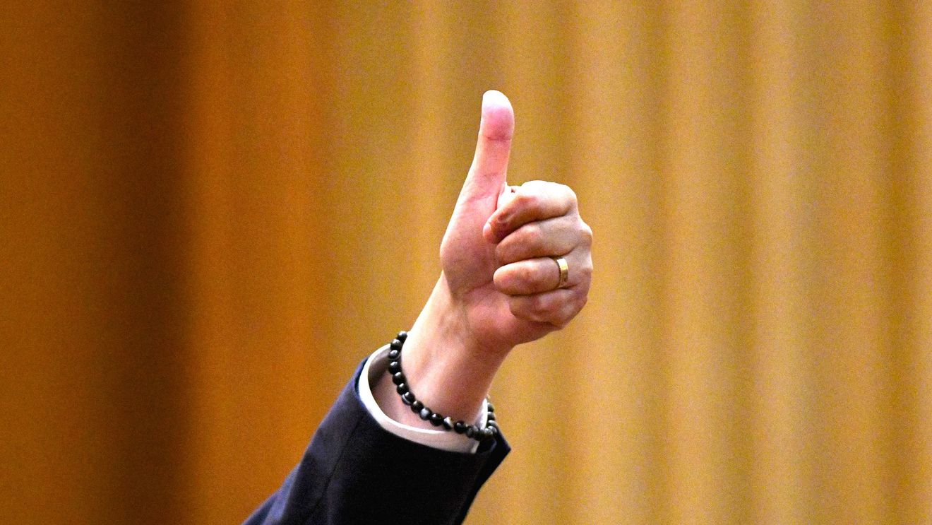 Grupul parlamentar PACE, dispus să voteze un guvern PSD-UDMR / Vicelidera grupului: Dacă vine cu măsuri care să corijeze ceea ce s-a stricat până acum, vor avea susținerea noastră