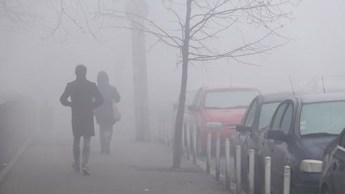 Cod galben de ceaţă în zece judeţe, până la ora 09.00 / Vizibilitate redusă în unele locuri sub 50 de metri / Se poate depune chiciură şi se poate forma polei