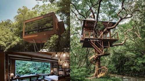 FOTO Unul dintre cele mai elegante hoteluri de lux din Japonia este de fapt o căsuță în copac / Cum și-a transformat un japonez visul în realitate