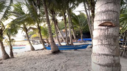 Siquijor: O insulă paradisiacă care a căpătat reputația unui centru de vrăjitorie