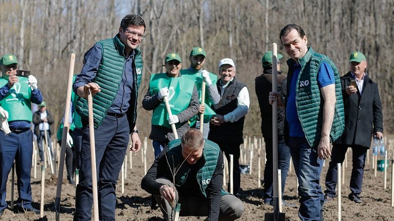 EXCLUSIV Cum a populat PNL două instituții-cheie cu neamuri, prieteni, parteneri de viață și clientelă politică. Noii șefi de la la Fondurile de Garantare și Contragarantare