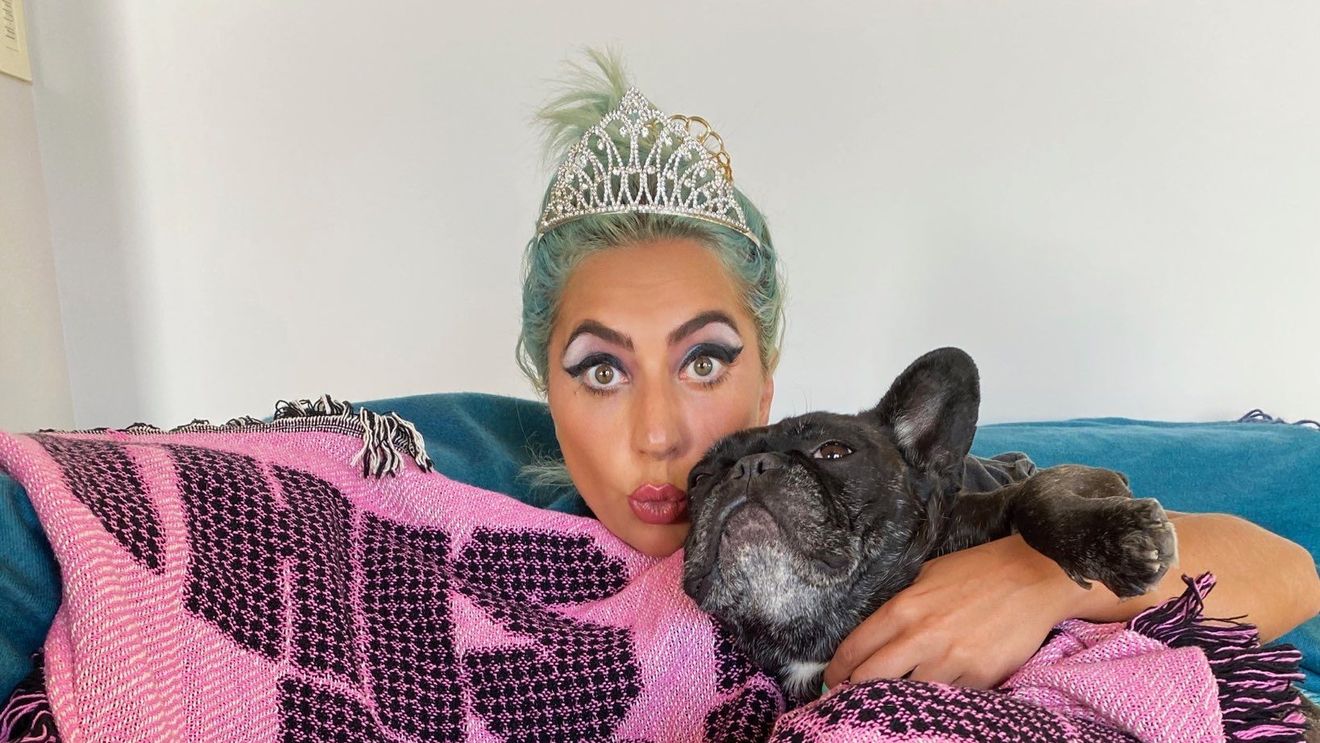 Cine sunt cele cinci persoane arestate în legătură cu răpirea câinilor cântăreţei Lady Gaga