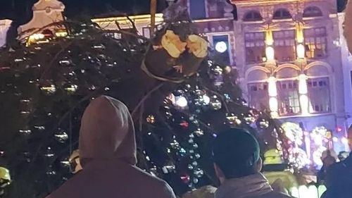 Femeie ucisă de un brad de Crăciun, într-un oraș din Belgia / Bradul amplasat în centrul localității, încărcat cu decorații și lumini, a căzut peste trei femei