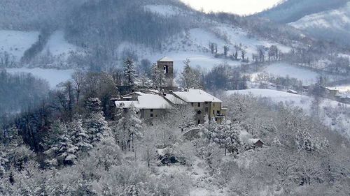 Româncă de 50 de ani, găsită moartă, înghețată, în Italia / Alături de ea au murit trei din cei 11 câini pe care îi deținea / Era dresoare, specializată în rasa ciobănesc mioritic