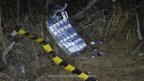 Asociaţie de procurori: CCR a declarat neconstituţionale unele prevederi ale infracţiunii de contrabandă / S-ar putea ajunge la dezincriminarea acestei infracţiuni dacă Parlamentul nu corectează codul vamal în 45 de zile