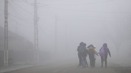 Meteorologii au emis, marţi seară, cod galben de vânt puternic şi ceaţă pentru mai multe judeţe