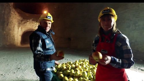 Cultivatorii italieni depozitează fructele în peșteri pentru a reduce facturile la energie