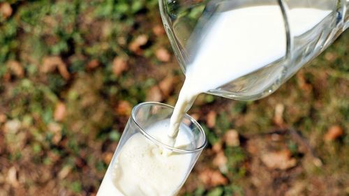 Top 10 alimente banale care îți oferă un „boost” natural de vitamina B12, esențială pentru sistemul nervos / Variante inclusiv pentru vegani și vegetarieni