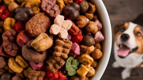 STUDIU | Hrana umedă pentru animale de companie produce de șapte ori mai multe emisii de carbon decât hrana uscată