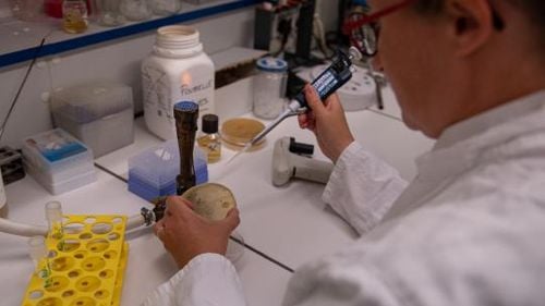 Rezultate promițătoare în testarea unui vaccin anti-Covid pe cale nazală în Franța