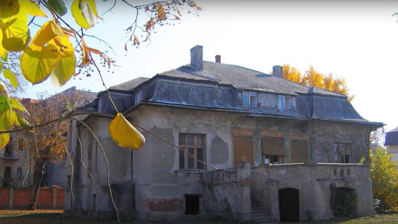 Primăria Timișoara vrea să răscumpere Casa Muhle - casa florarului Curţii Imperiale de la Viena