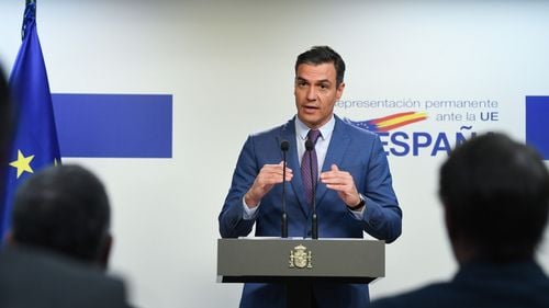 Spania și Irlanda cer UE să verifice dacă Israelul respectă drepturile omului în Gaza