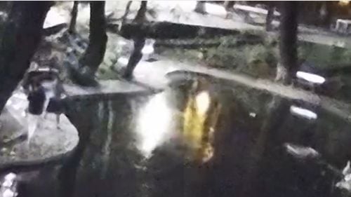 VIDEO Câțiva tineri au distrus parțial iazul recent amenajat în Parcul Kiseleff / Primarul Clotilde Armand a cerut poliției să îi identifice și anunță că va depune plângere penală