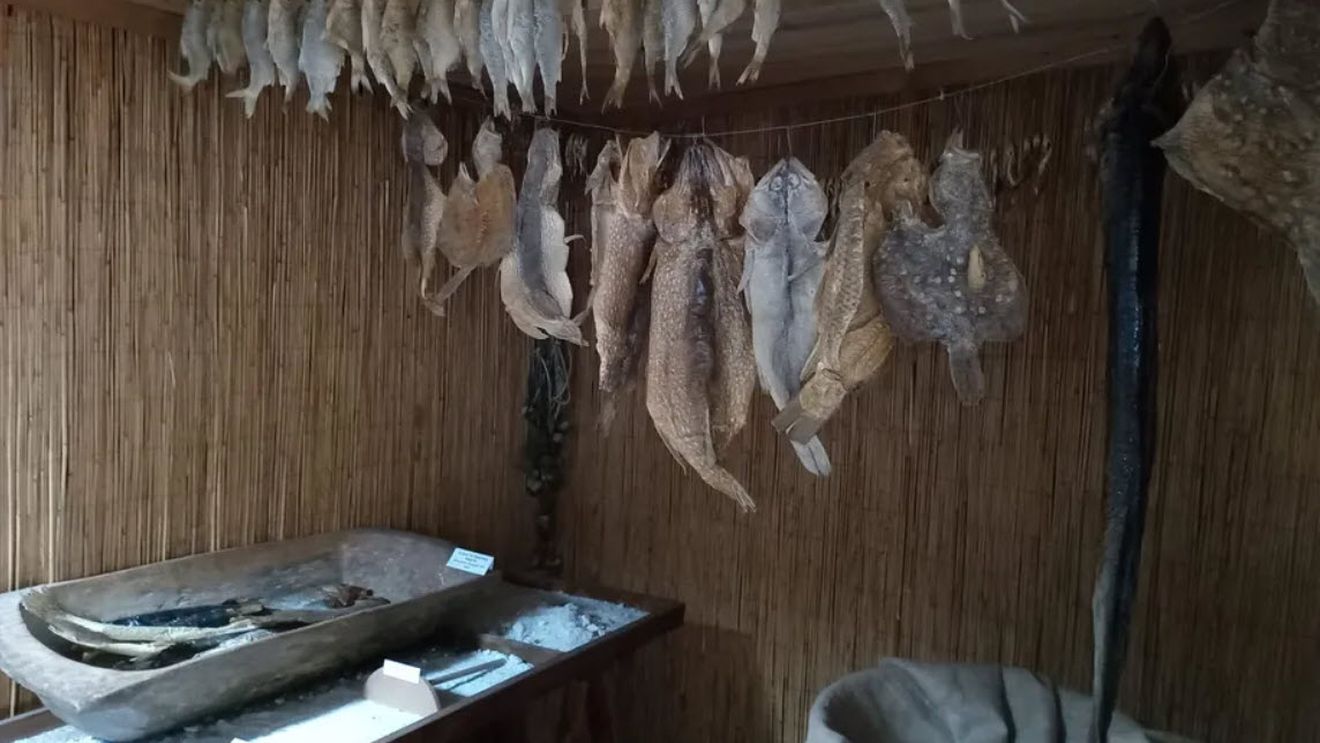 Dobrogea candidează oficial la titlul de Regiune Gastronomică Europeană 2029 / „Este o invitație adresată Europei de a descoperi Dobrogea prin gusturile sale”