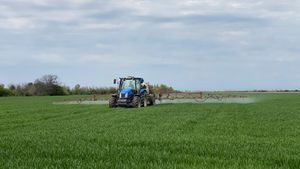 Fondurile pentru instalarea tinerilor fermieri, epuizate/ Au fost depuse cereri de peste 260 de milioane de euro