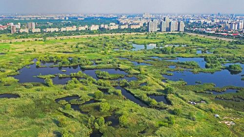 Proiectul ”Vara Verde în Văcăreşti” continuă, în 24-25 august, cu tururi ghidate, spectacole de teatru de păpuşi pentru copii şi ateliere de creaţie - FOTO