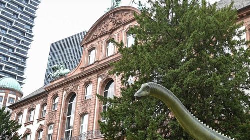 Incendiu la Muzeul de Istorie Naturală din Frankfurt. Valoarea pagubelor nu e încă cunoscută