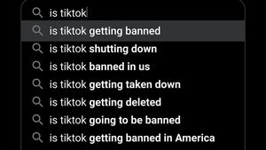 TikTok cere Curţii Supreme a SUA să suspende legea care ar duce la interzicerea aplicației