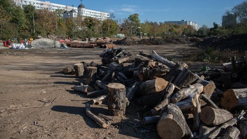 Amenzi majorate în București pentru deteriorarea spaţiilor verzi și arborilor: între 3.000 și 5.000 de lei va fi sancționată tăierea copacilor, față de 25-50 de lei în prezent