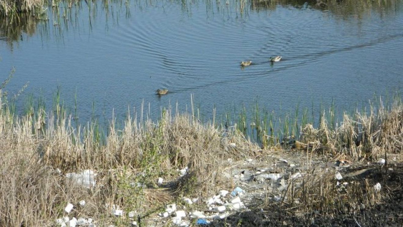 Satu Mare: Zona degradată lacul Cubic va fi transformată în cel mai mare parc din oraş