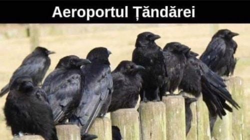 CNCD l-a amendat pe Vladimir Tismăneanu cu 5000 de lei pentru o postare cu conotații rasiste