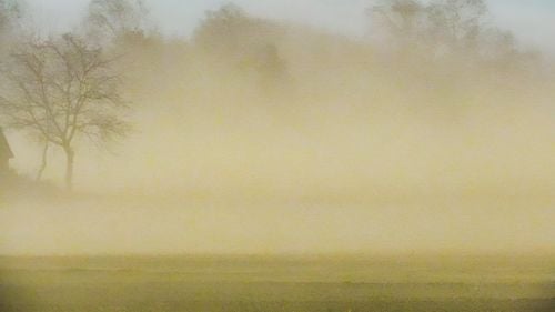 Poluare cu praf saharian deasupra României până vineri seară