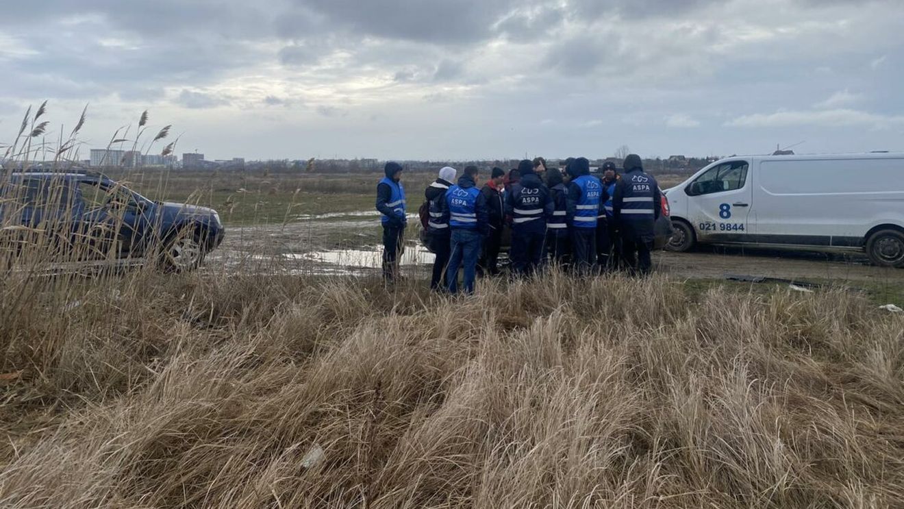 12 câini și doi pui, capturați duminică în zona Lacul Morii, anunță ASPA: "Sunt câini ieșiți din curți, lăsați liberi pe stradă. Vom sesiza poliția"