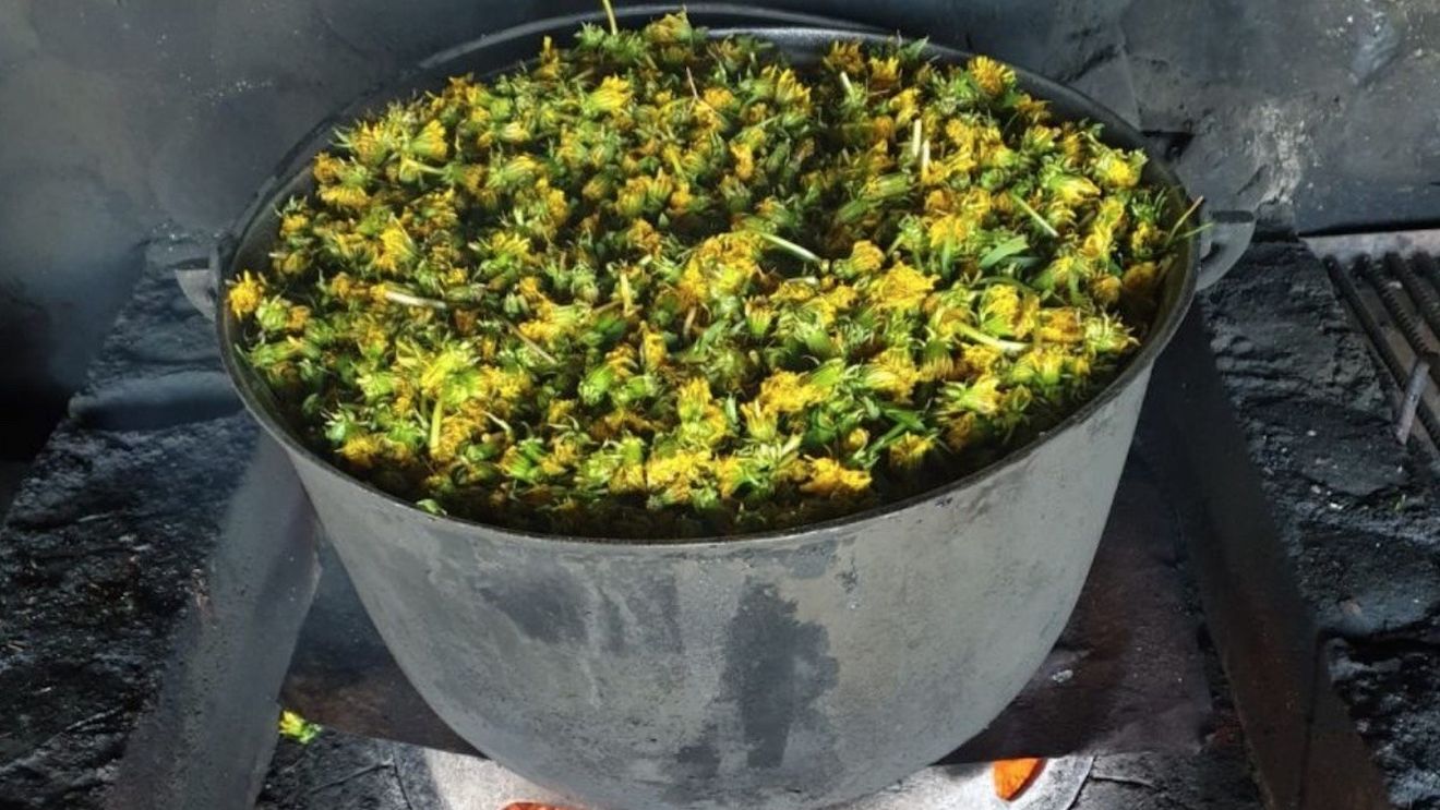 Produs în Munţii Făgăraş: Dulceaţă de liliac şi de păpădie, în serie limitată / Este inițiativa unei fundații distribuie produse direct de la micii producători