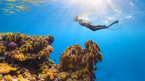 Oceanele se apropie de temperaturi record / Se estimează că 2027 va doborî recordul anual de temperatură, stabilit în 2024