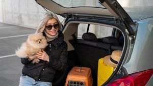 Ce să pui în bagaj când călătorești cu câinele: Ghidul practic de care are nevoie orice iubitor de animale pentru o vacanță fără griji