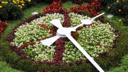 Ceasul floral din Timișoara intră în reabilitare completă după mai bine de 50 de ani / Construit în anii ’70, ceasul nu a fost nereabilitat niciodată capital 