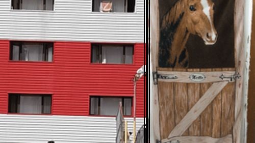 Simbolul intervenției ruse în Ucraina, afișat pe geamul unui cămin studențesc din Iași / Poliția a descoperit că era un prosop cu un cal și o ușă de grajd