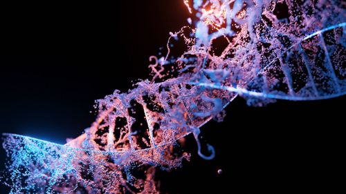De la roșii care reduc tensiunea arterială până la plante care rezistă condițiilor severe. Ce este editarea genomică și cum poate modifica plantele – interviu cu Wayne Parrott, profesor la Universitatea din Georgia