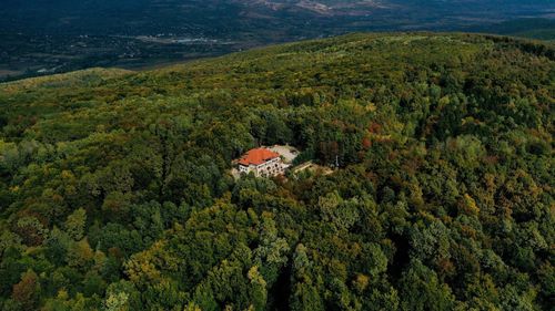 Patru cazări în mijlocul naturii pentru a te relaxa în weekend