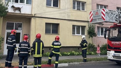 VIDEO Pompierii sibieni au salvat un câine rămas pe o terasă în afara apartamentului / Proprietarii au plecat de acasă și l-au legat de lesă