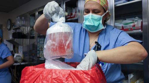 Premieră: rinichi de porc transplantat cu succes la un bărbat de 62 de ani / Medicii au declarat că se așteaptă să îl trimită acasă chiar în acest weekend / Rămâne întrebarea cât timp va rezista rinichiul