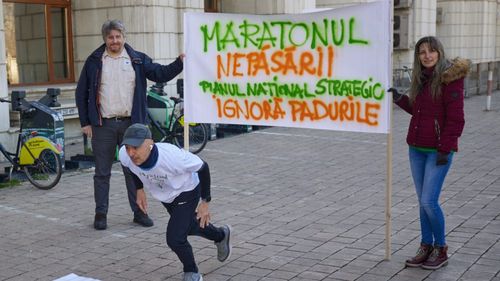 World Wild Fund Romania: Maratonul Nepăsării / România alocă pădurilor de 14 ori mai puține fonduri decât ar trebui